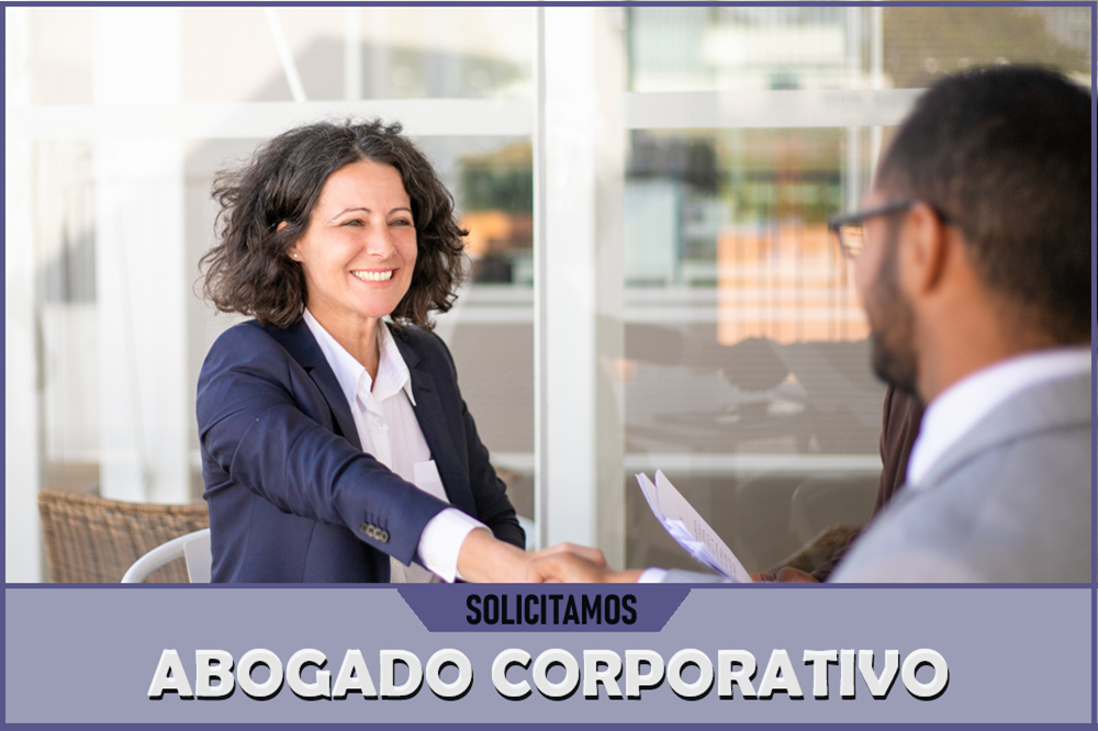 Business-lawyer-2-
