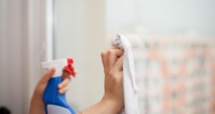 🏠 Se Buscan Personas para Limpieza de Casas: Requisitos y Funciones